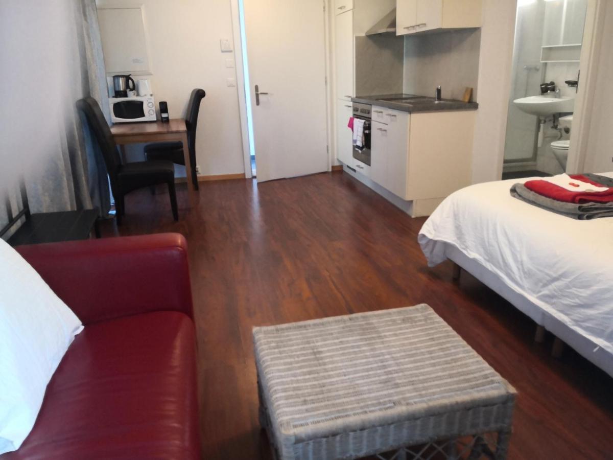 Unteregasse21 Apartments Unterseen Εξωτερικό φωτογραφία